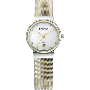 Skagen Silver and Gold Tone Mesh Watch